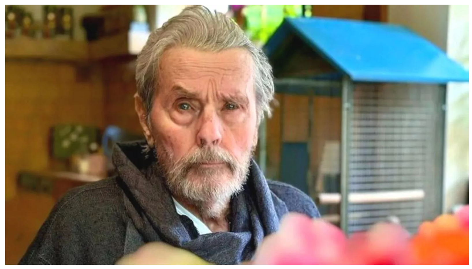 15 szokujących faktów z życia Alena Delona