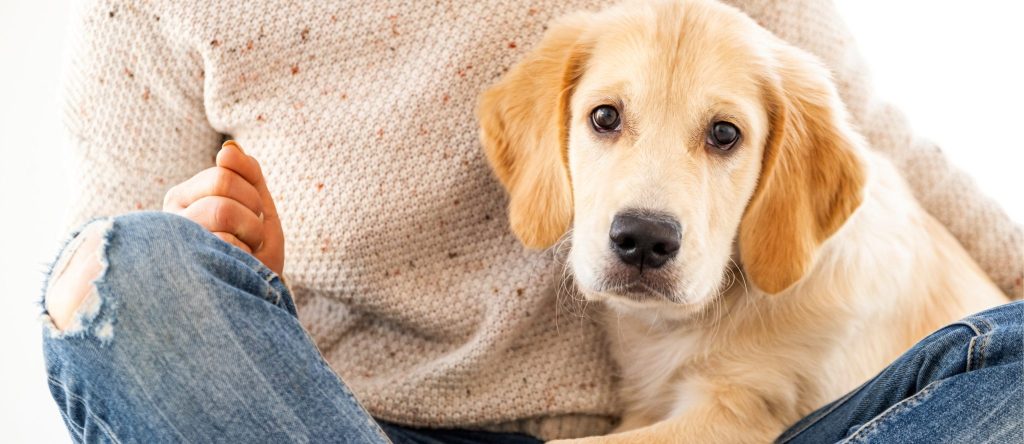 Kiedy pies znalazł mnie w sklepie Walmart, nie miałam pojęcia, że to na zawsze zmieni moje życie.