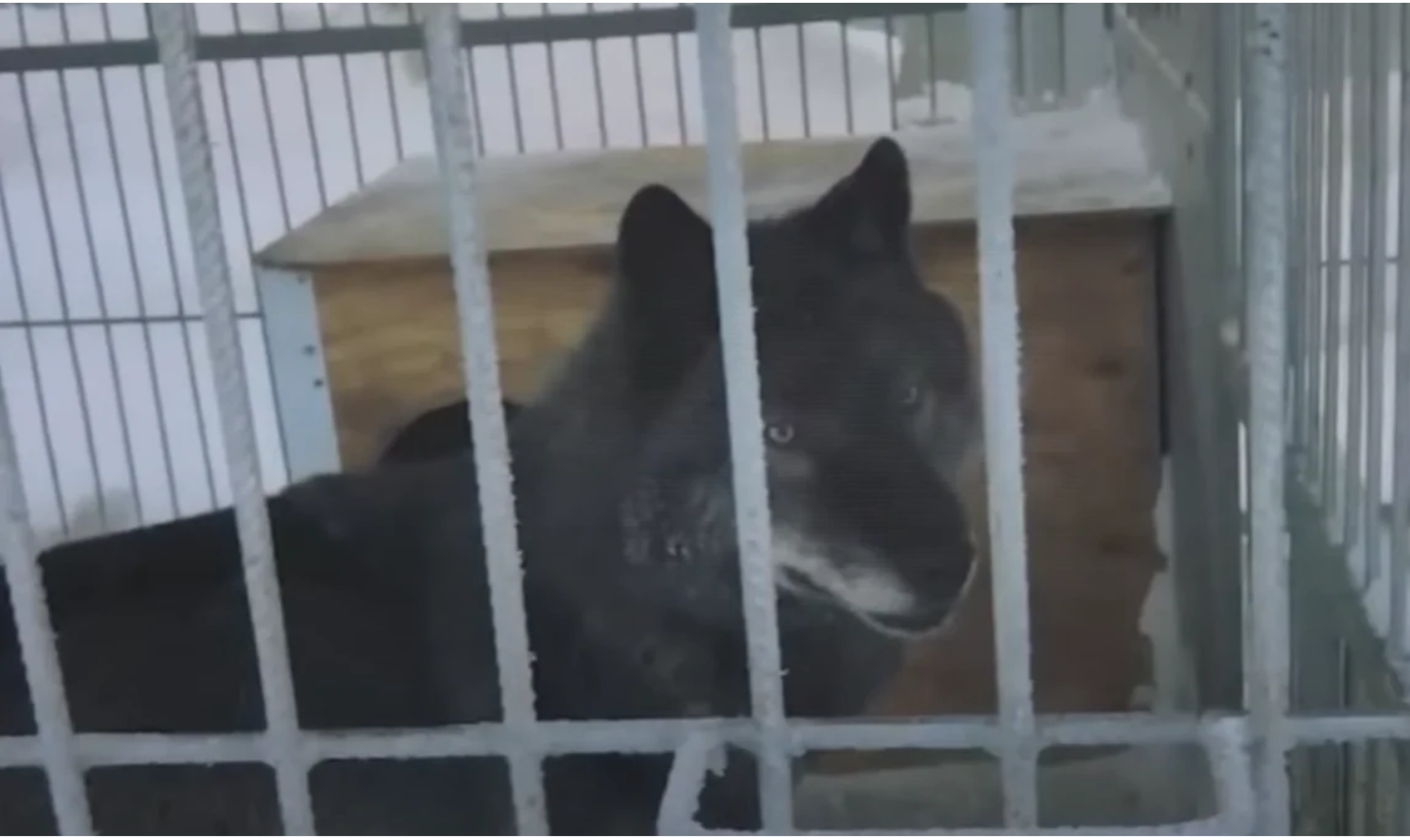 Dobry uczynek może czasem mieć dość dziwne konsekwencje.