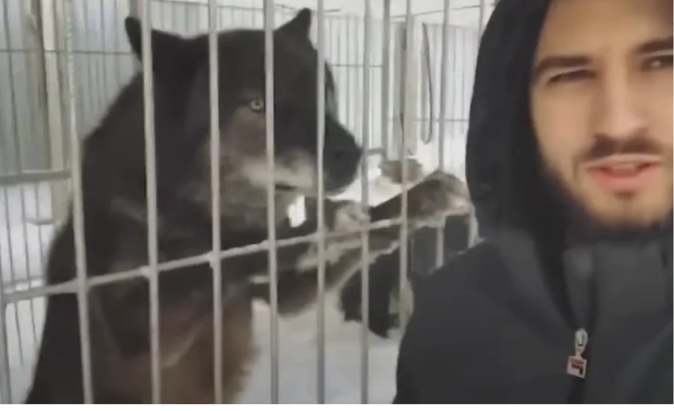 Dobry uczynek może czasem mieć dość dziwne konsekwencje.