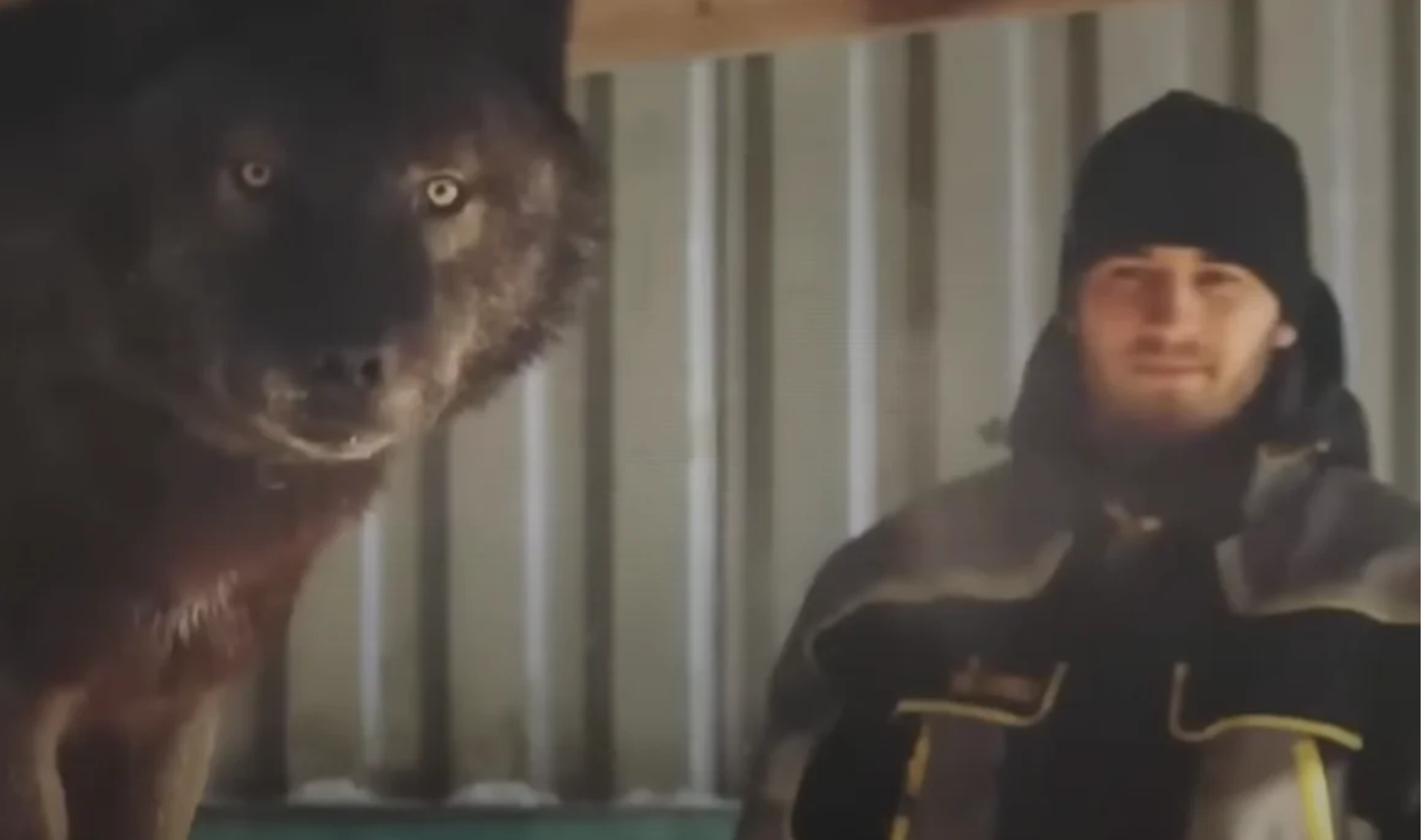 Dobry uczynek może czasem mieć dość dziwne konsekwencje.