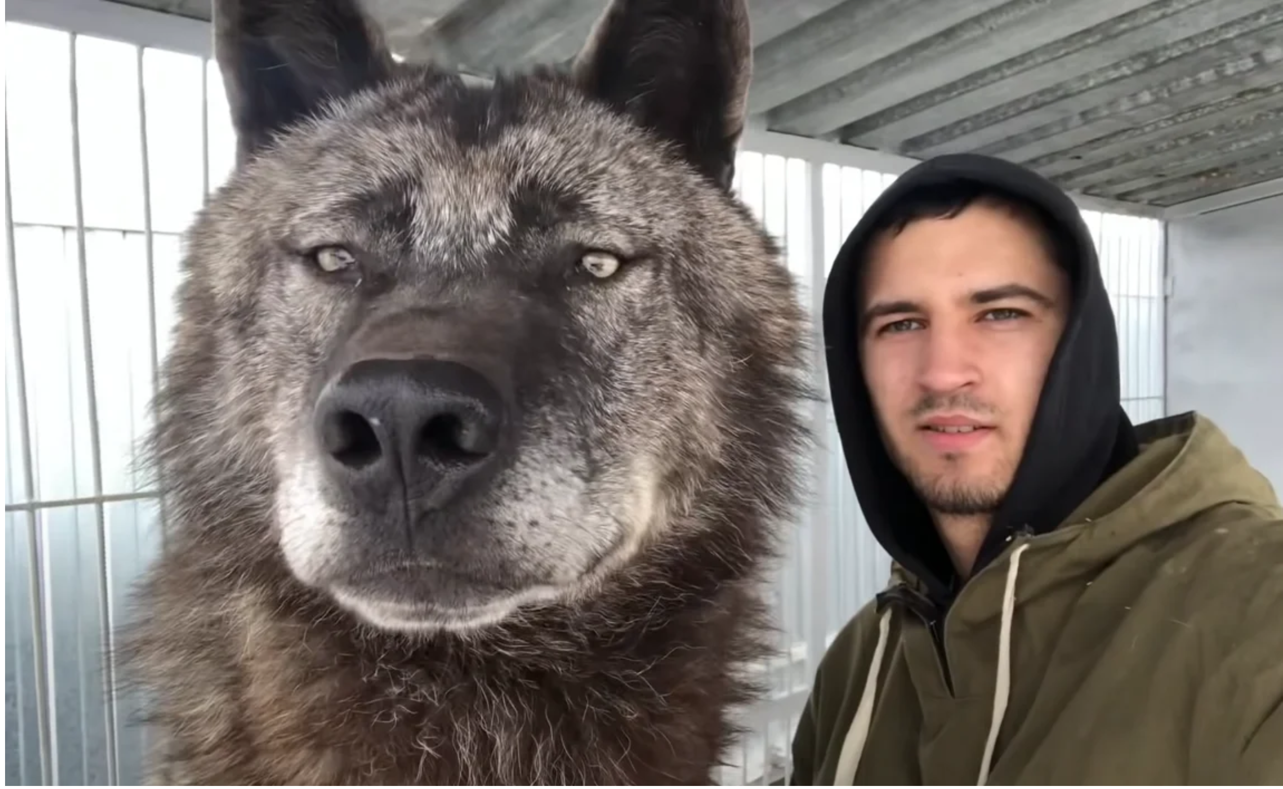 Dobry uczynek może czasem mieć dość dziwne konsekwencje.