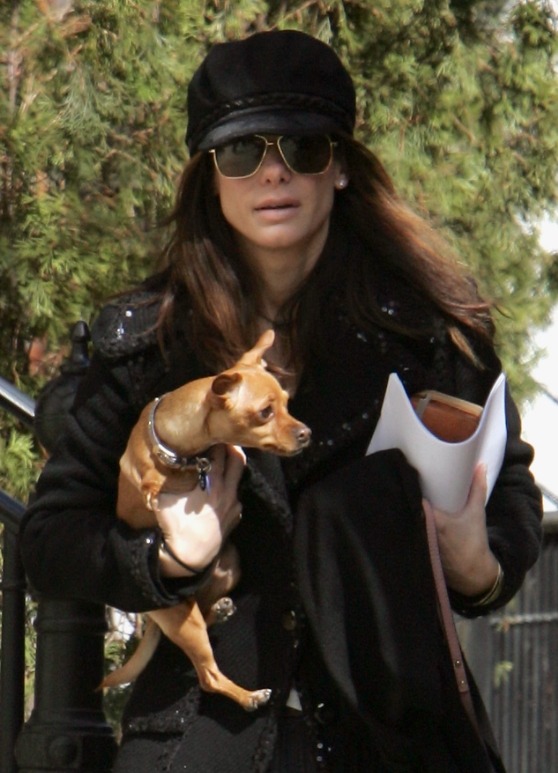 Hollywoodzka gwiazda z listy A wygląda zupełnie inaczej! Czy zgadniesz, kto to jest?