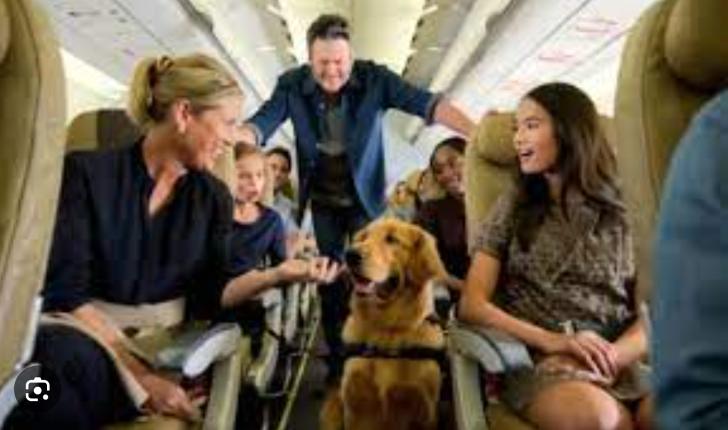 Kobieta zażądała, aby wyrzucić mnie i mojego psa z samolotu, obrażając nas słowami — ale potem wydarzyło się coś nieoczekiwanego 😱😱