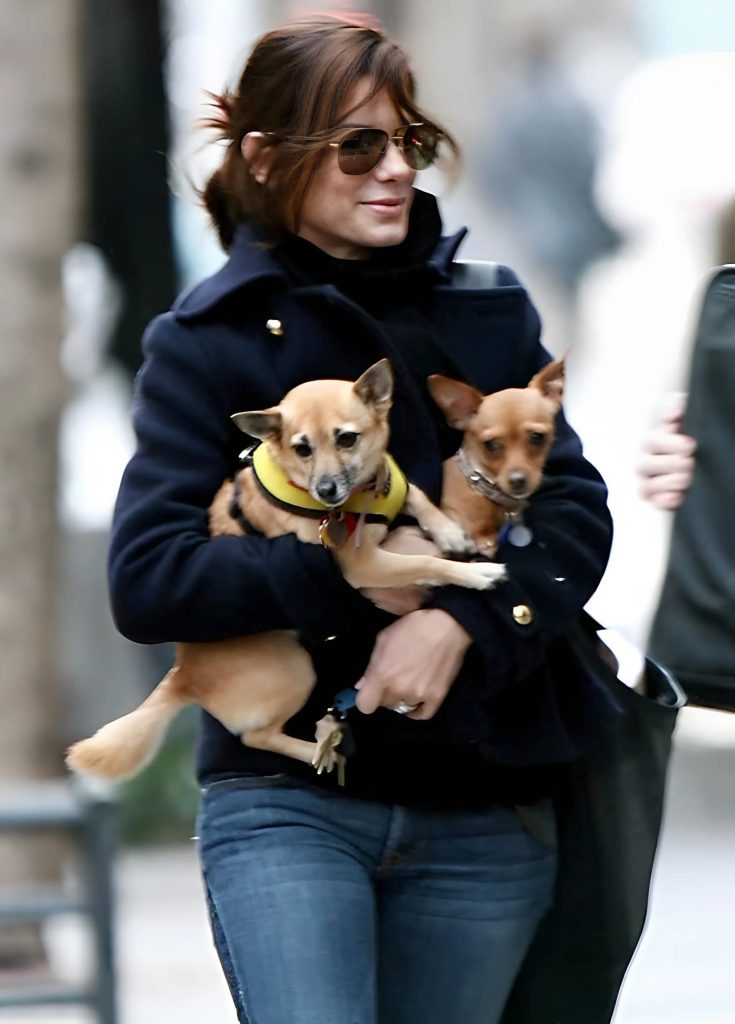 Hollywoodzka gwiazda z listy A wygląda zupełnie inaczej! Czy zgadniesz, kto to jest?