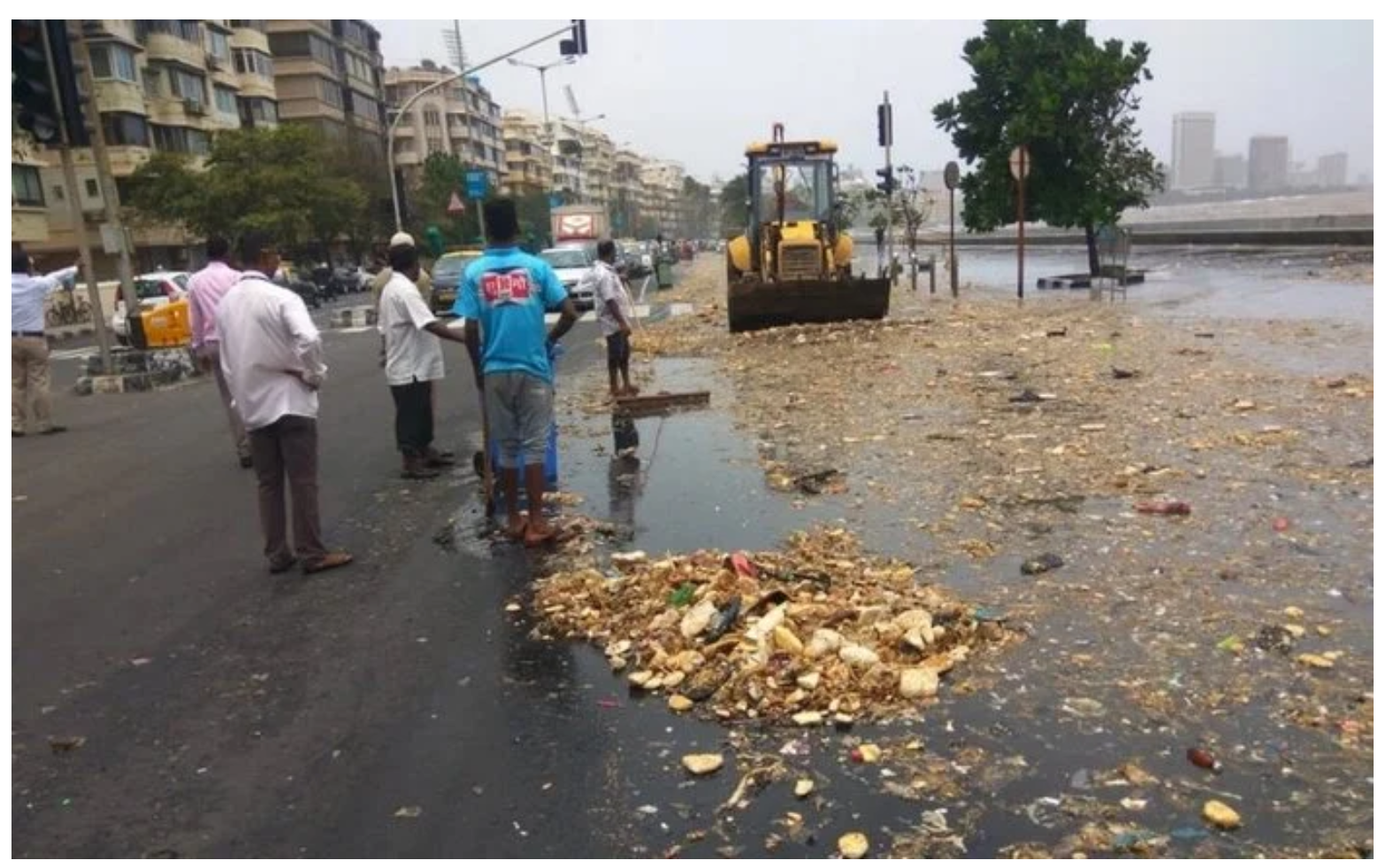 Ocean zwraca to, co ludzie do niego wyrzucają. Niesamowite rzeczy!