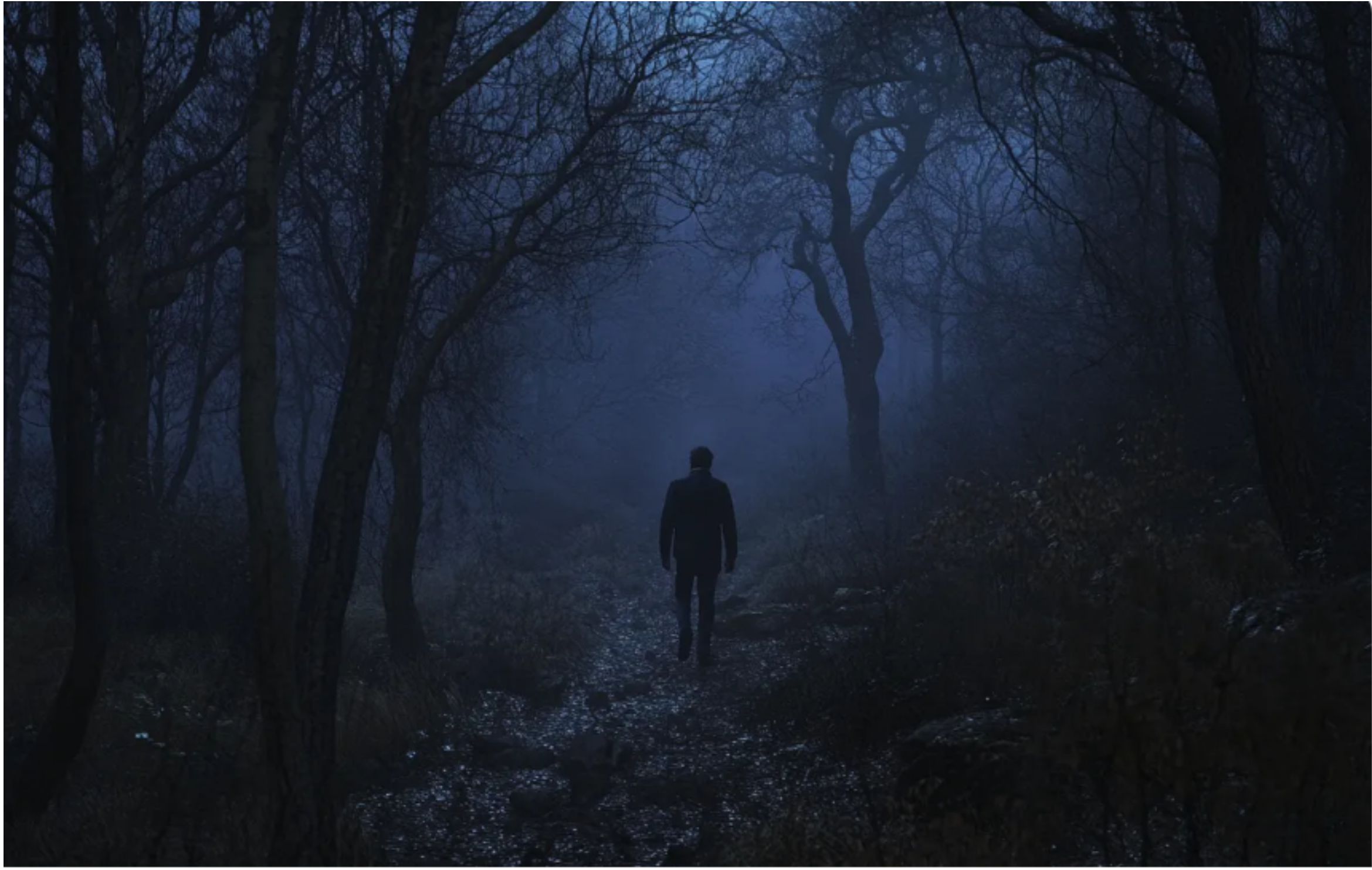 Zauważyłem, że moja córka codziennie biegnie do lasu i postanowiłem ją śledzić — to, co odkryłem, pozbawiło mnie mowy.