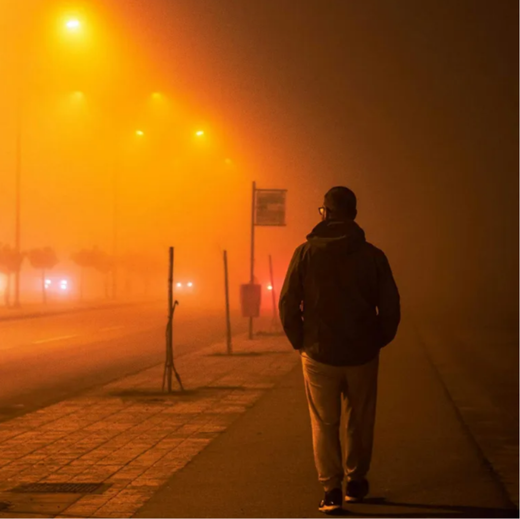 Zauważyłem, że moja córka codziennie biegnie do lasu i postanowiłem ją śledzić — to, co odkryłem, pozbawiło mnie mowy.