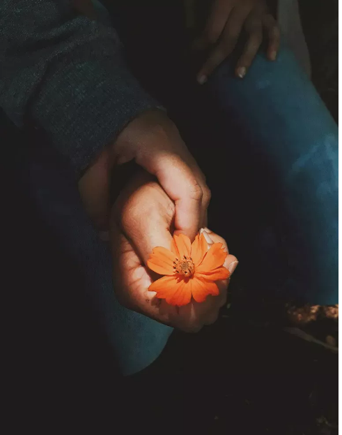 Adoptowaliśmy 4-letnią dziewczynkę – miesiąc później podeszła do mnie i powiedziała: „Mamo, nie ufaj tacie”.