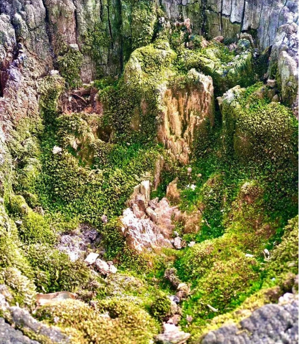 17 sytuacji, gdy uświadamiamy sobie, że to tylko iluzja