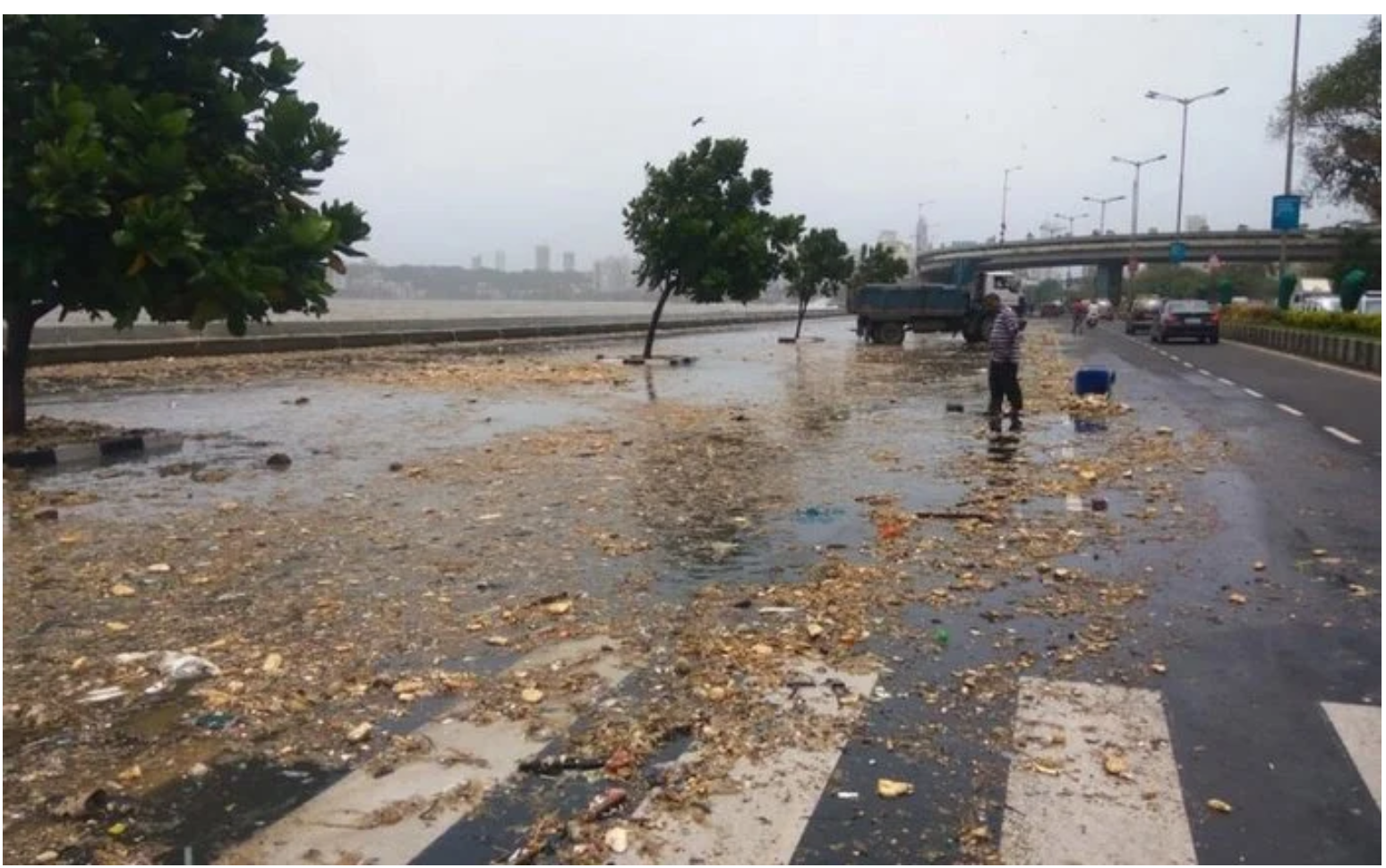 Ocean zwraca to, co ludzie do niego wyrzucają. Niesamowite rzeczy!