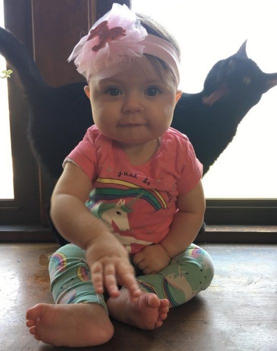 12 zdjęć, na których tło jest znacznie ciekawsze niż pierwszy plan