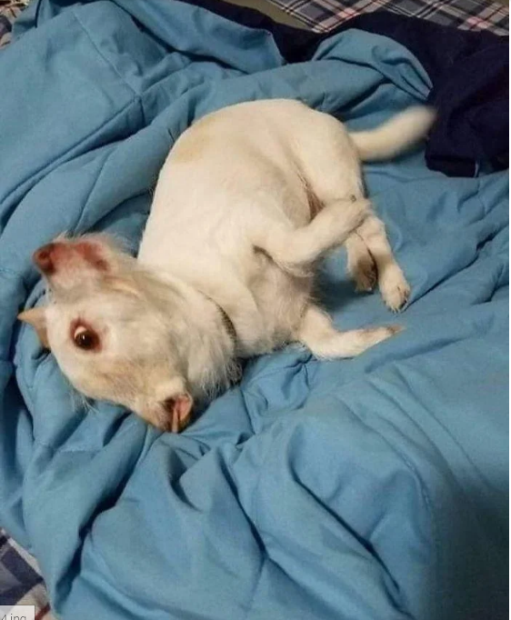 17 sytuacji, gdy uświadamiamy sobie, że to tylko iluzja