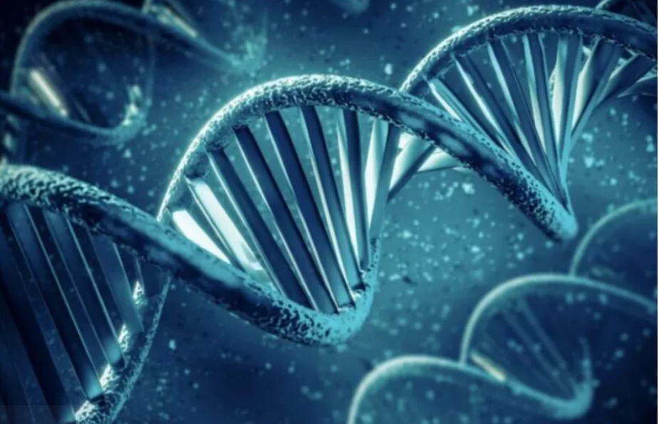 Test DNA dla mojego syna: jak przejęłam kontrolę nad sytuacją