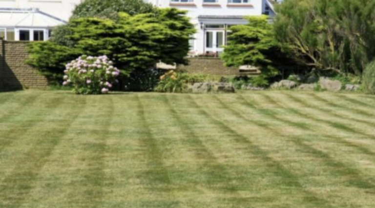 Mój przyjaciel wyrzucił mnie ze swojego ślubu – powód mnie zszokował.