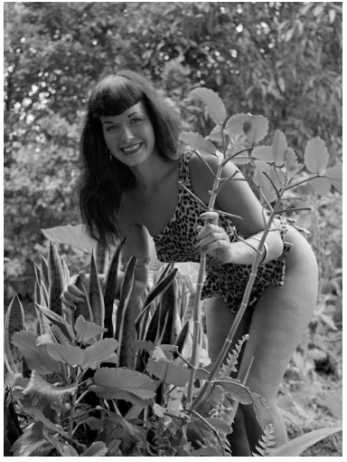 25 najpiękniejszych kobiet w historii, które podziwiały miliony