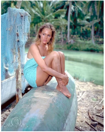 25 najpiękniejszych kobiet w historii, które podziwiały miliony