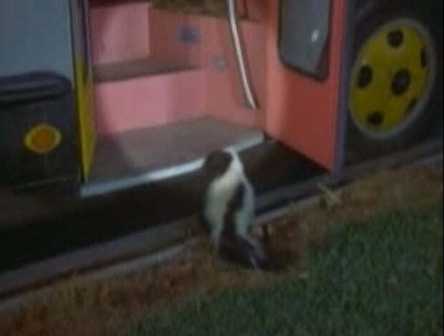 Nieznane sekrety rodziny Partridge, o których nigdy nie słyszałeś