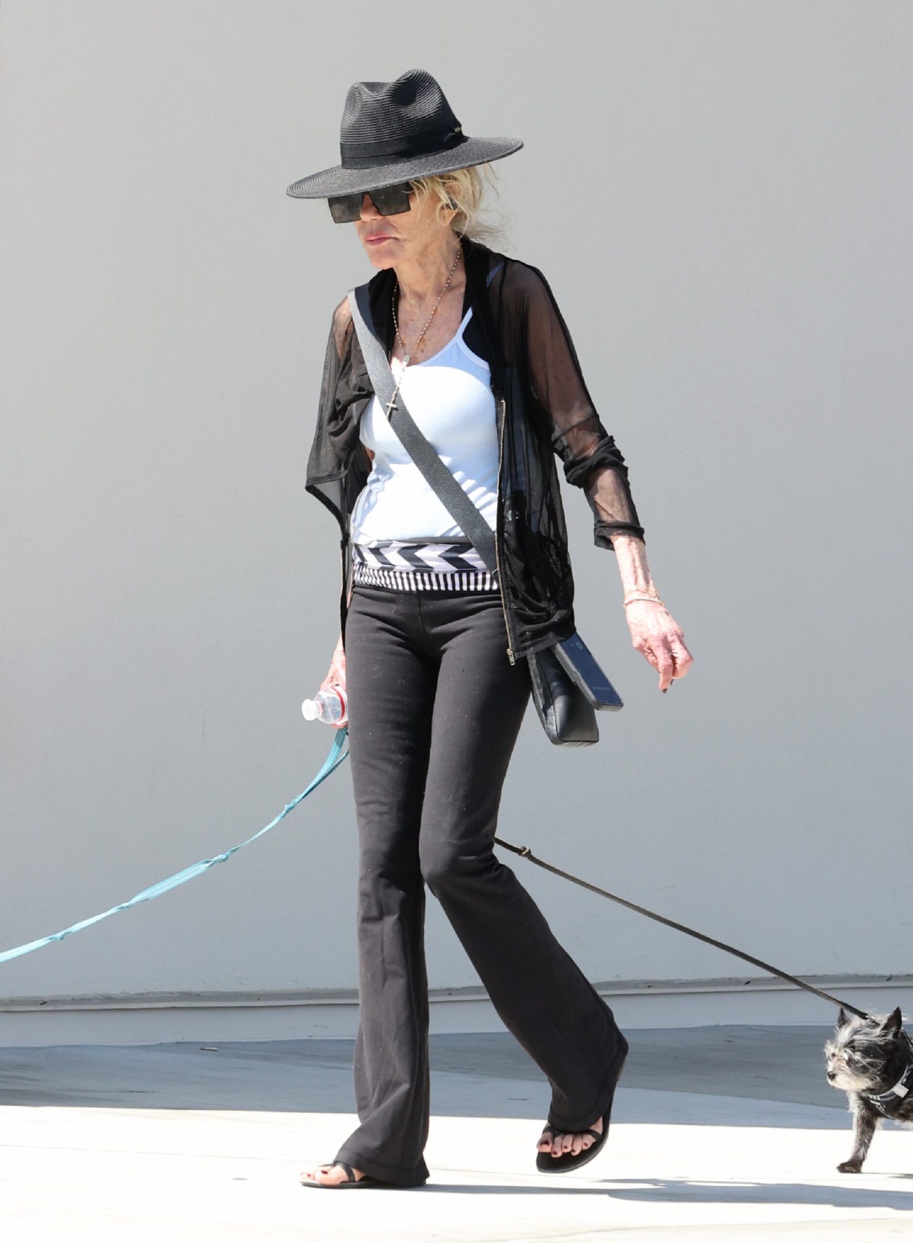 Kultowa aktorka lat 70. wywołuje dyskusję po opublikowaniu rzadkich zdjęć z psem, które ujawniają jej dramatyczną przemianę.