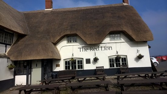 KARMĘ PODANO NA GORĄCO NA PARKINGU CIĘŻARÓWEK