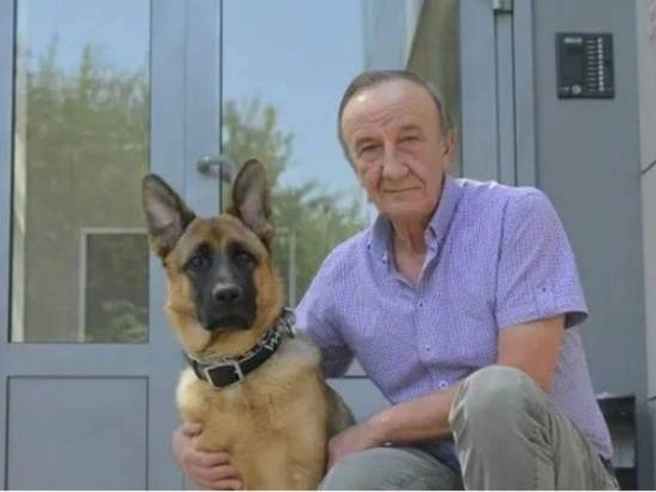 Podczas gdy moje siostry walczyły o dom babci, ja zabrałam tylko jej starego psa — zaniemówiłam, gdy zeskanowałam kod QR na jego obroży