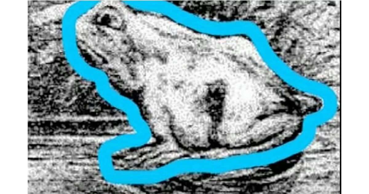 Iluzja optyczna: Znajdź ukrytego małżonka marynarza