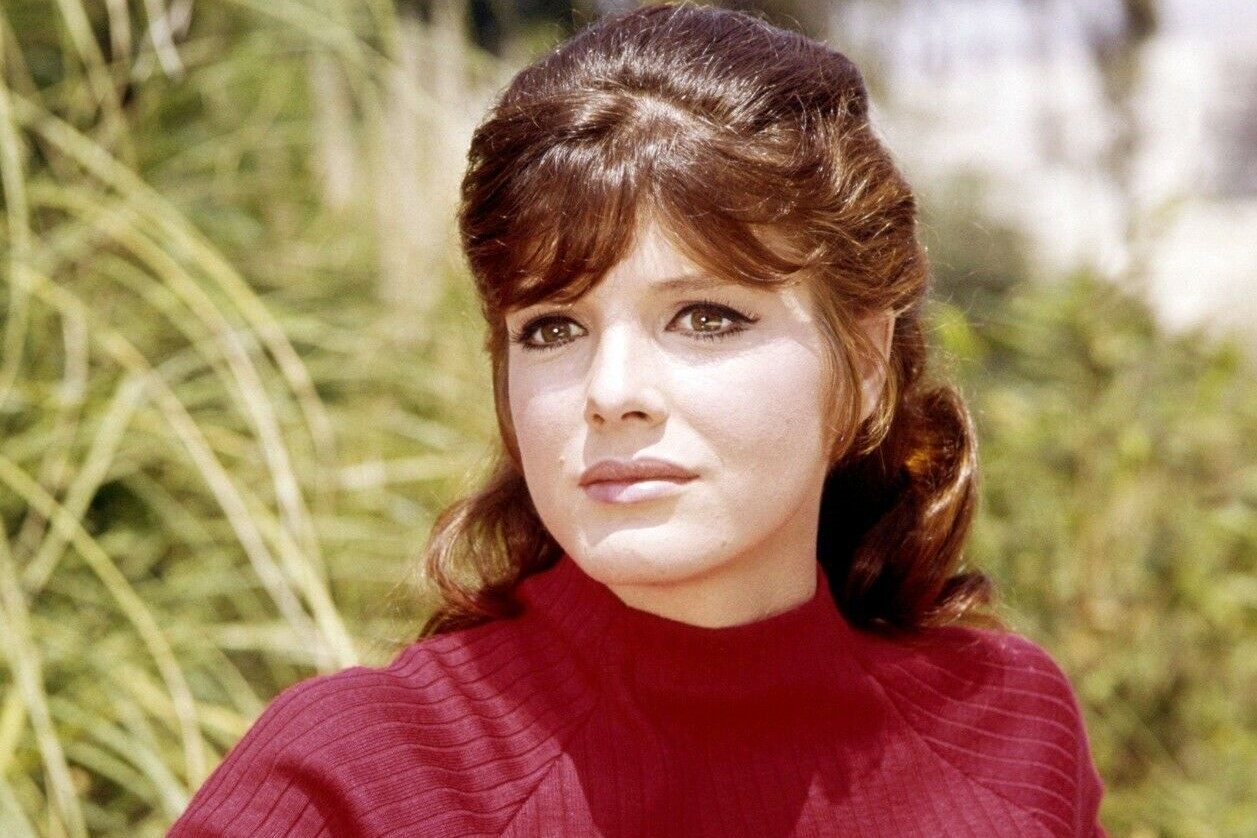 F. Ta kultowa aktorka była jedną z najsłynniejszych piękności lat 60. – zobacz, jak wygląda dzisiaj, w wieku 86 lat