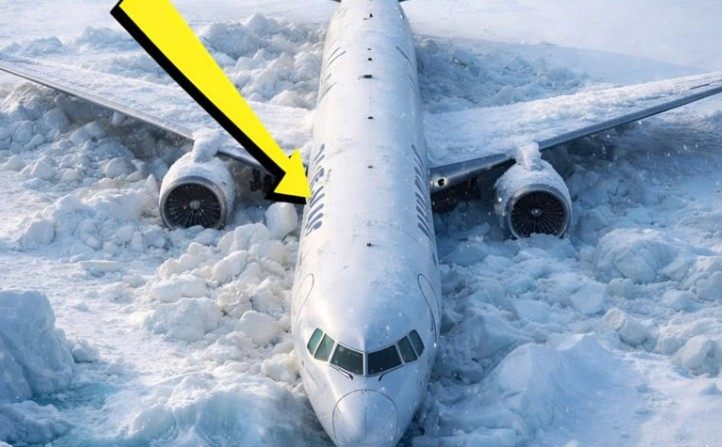 Naukowcy odkryli samolot, który przez wiele lat uważano za zaginiony wśród lodów arktycznych. Jednak największa sensacja czekała na nich w środku: znalezisko ukryte w kadłubie stało się prawdziwym przełomem naukowym i wzbudziło ogromne zainteresowanie specjalistów na całym świecie.