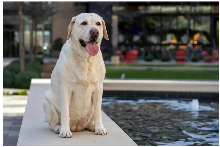 Nowa żona mojego byłego partnera odnalazła mój profil na Facebooku tylko po to, by zadać mi jedno pytanie – kiedy je przeczytałam, byłam kompletnie zaskoczona.