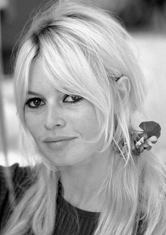 Rozpoznajesz Tę Ponadczasową Piękność?: Przyjrzyj się Zbliżeniu Oszałamiającej Metamorfozie Tej Ikony na Przestrzeni Lat!