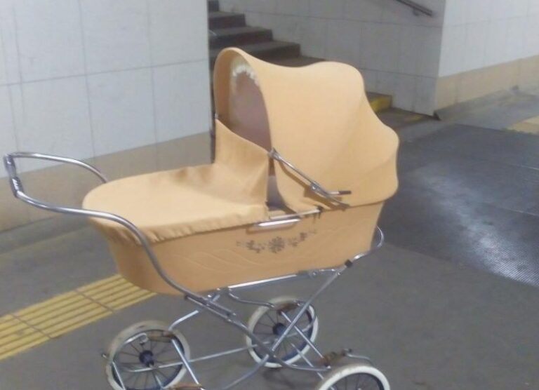 „Zaadoptowałam bliźnięta z niepełnosprawnościami, które znalazłam na ulicy – 12 lat później prawie upuściłam telefon, kiedy dowiedziałam się, co zrobili.”