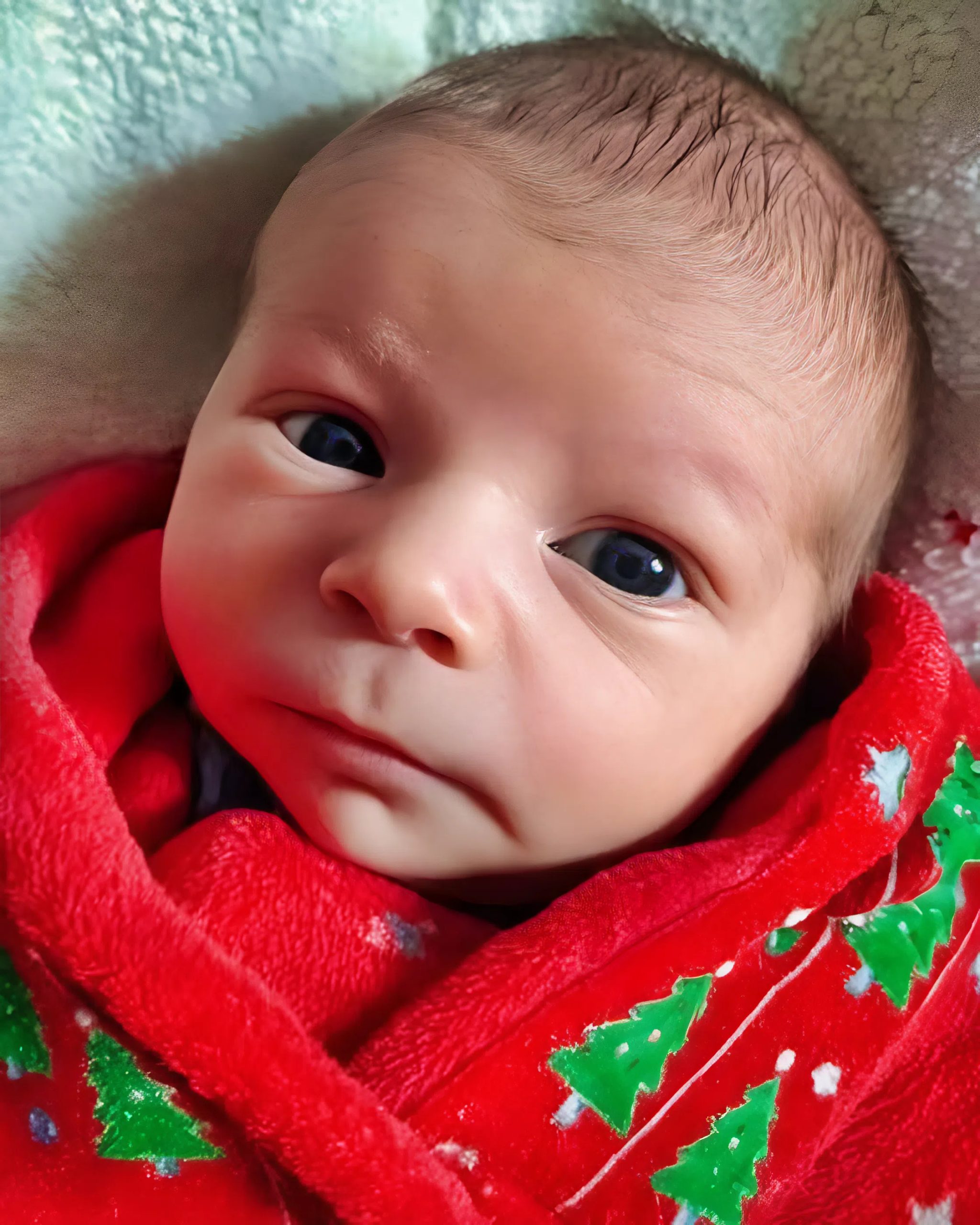 Mój 16-letni syn uratował noworodka przed zimnem – następnego dnia przed naszymi drzwiami pojawił się policjant