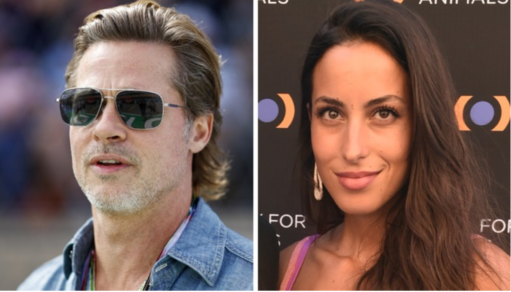 Brad Pitt zamierza założyć rodzinę ze swoją ukochaną Ines de Ramon i planuje ponownie zostać ojcem