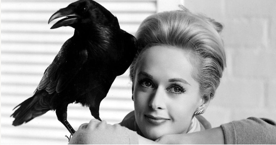 96-letnia Tippi Hedren rzadko pojawiała się publicznie w dniu swoich urodzin, podczas gdy demencja stopniowo przyćmiewa jej hollywoodzką spuściznę