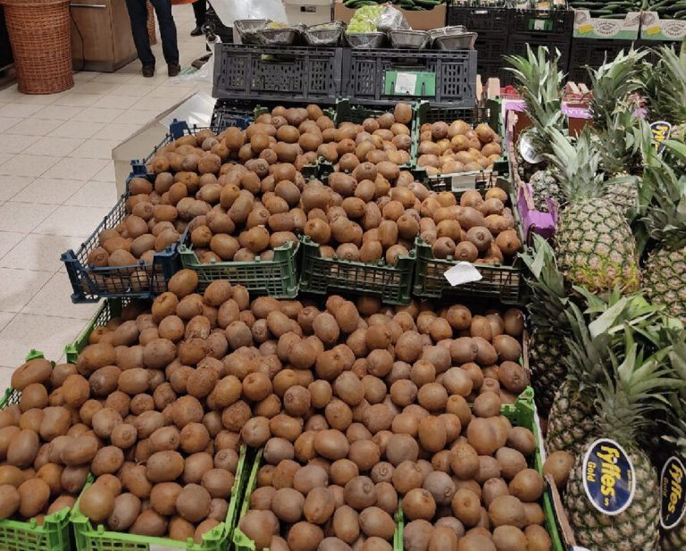 Wyjąłem z kiwi malutkie pestki i je zasadziłem: pokazuję, jak rosły przez 10 tygodni🤔