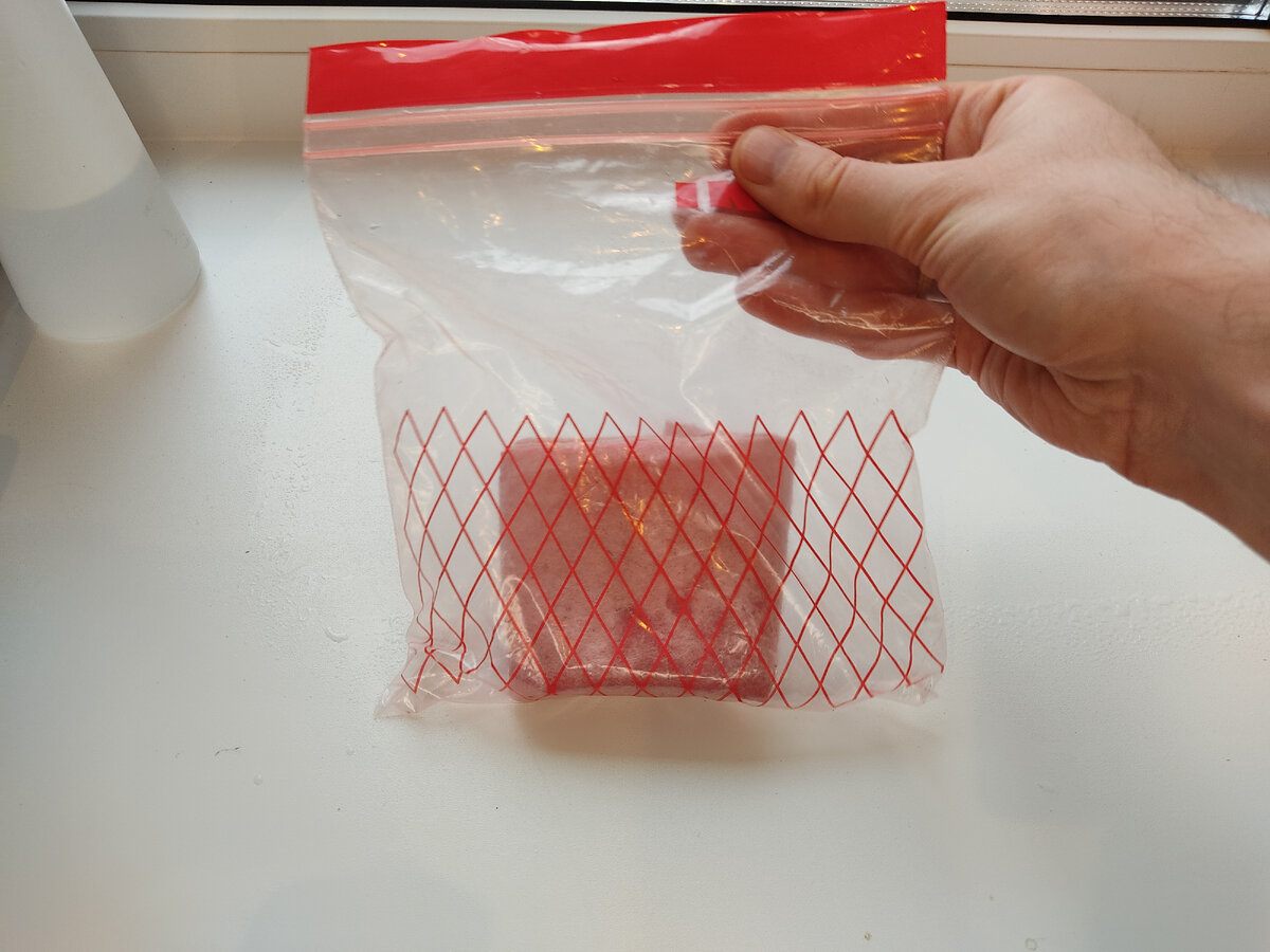 Wyjąłem z kiwi malutkie pestki i je zasadziłem: pokazuję, jak rosły przez 10 tygodni🤔
